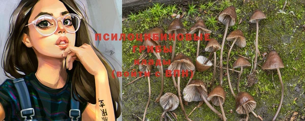 метадон Алексеевка