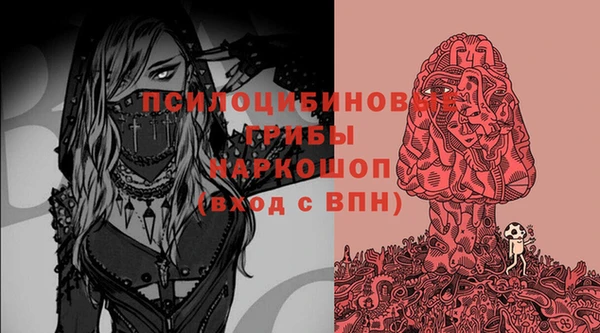 винт Алзамай