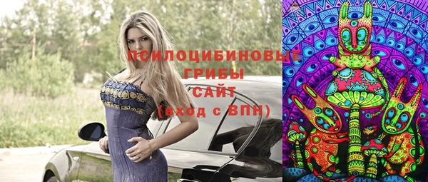 винт Нея